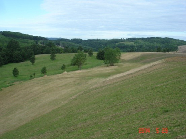 szilkep