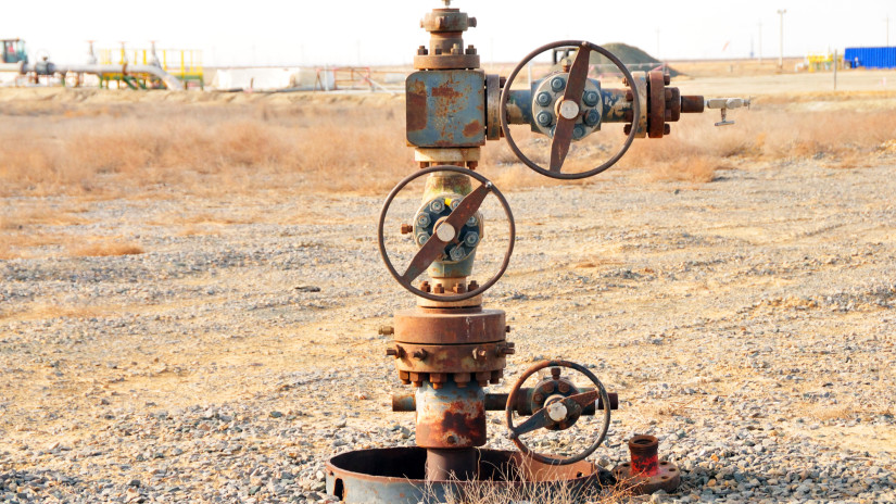 Geotermikus lehetőségek az agrárszektorban