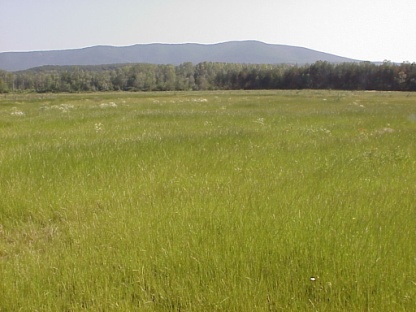 Zagytározók rekultivációja